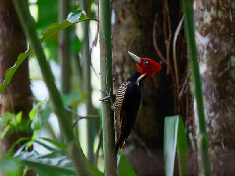 How to Visit Diria National Park in Costa Rica – Costa Rica Best Ride